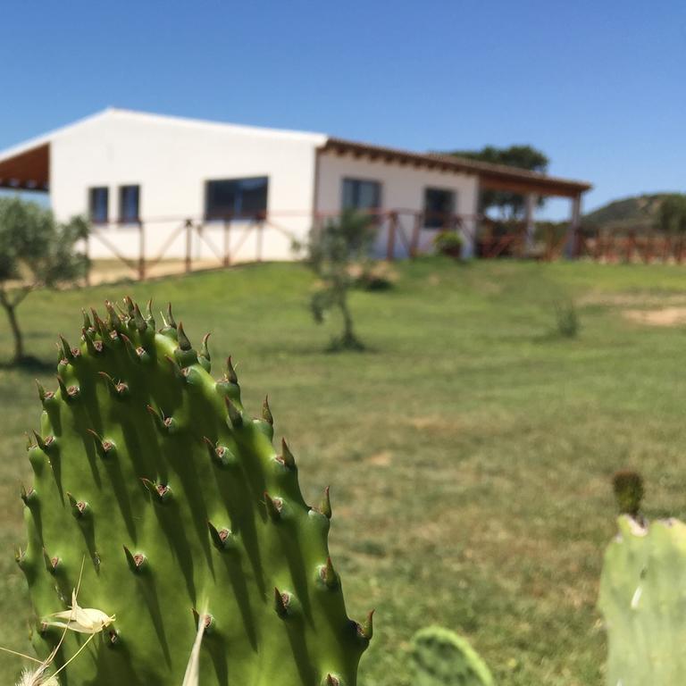 Agriturismo Mieleamaro Farm stay Olbia