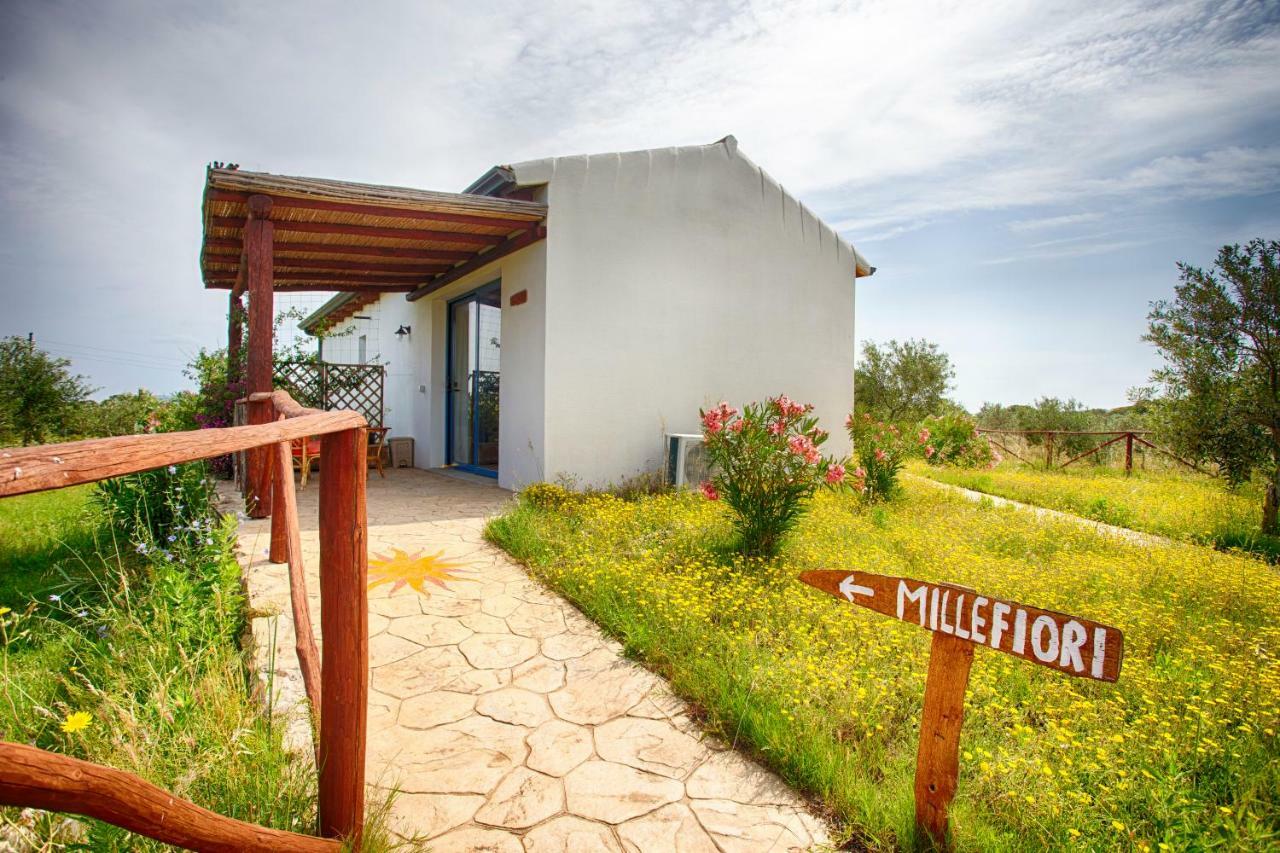 Agriturismo Mieleamaro