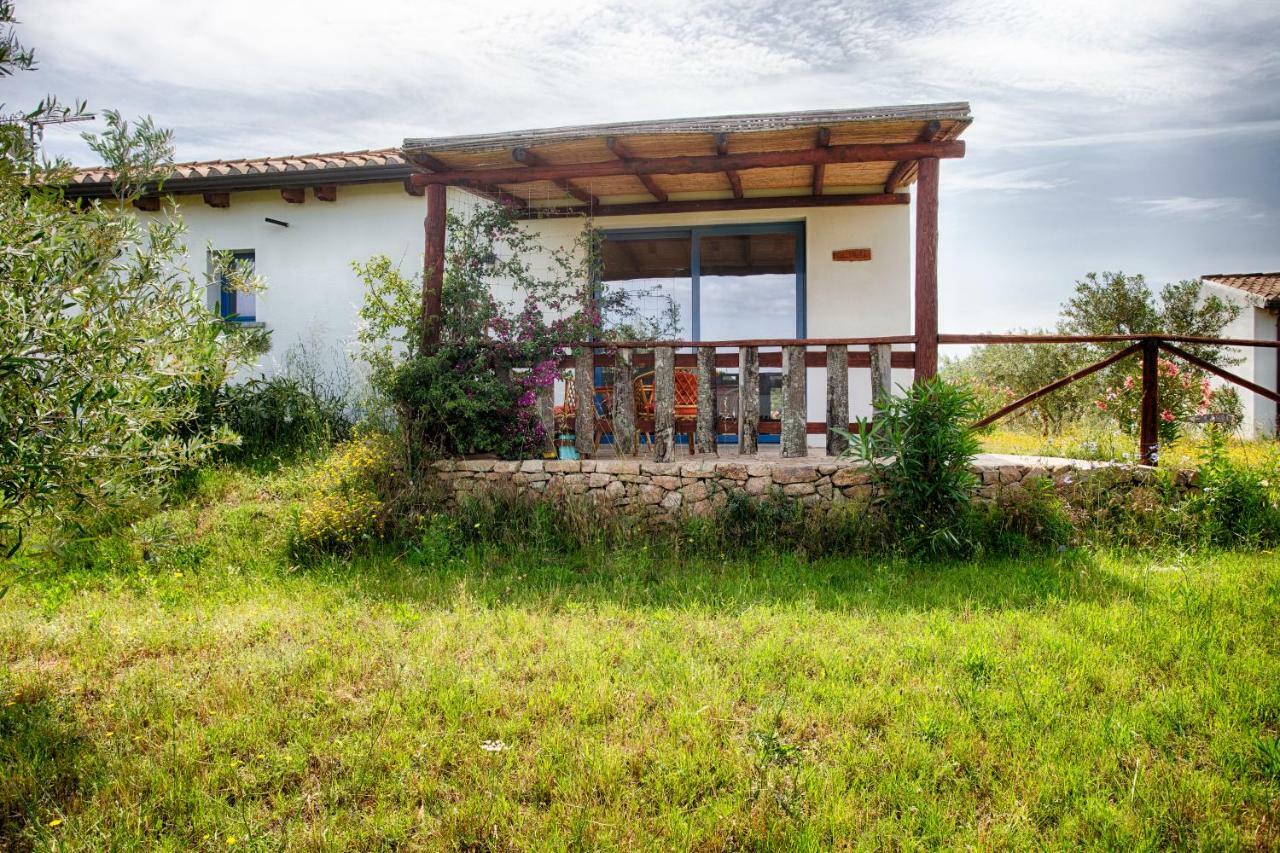Farm stay Agriturismo Mieleamaro