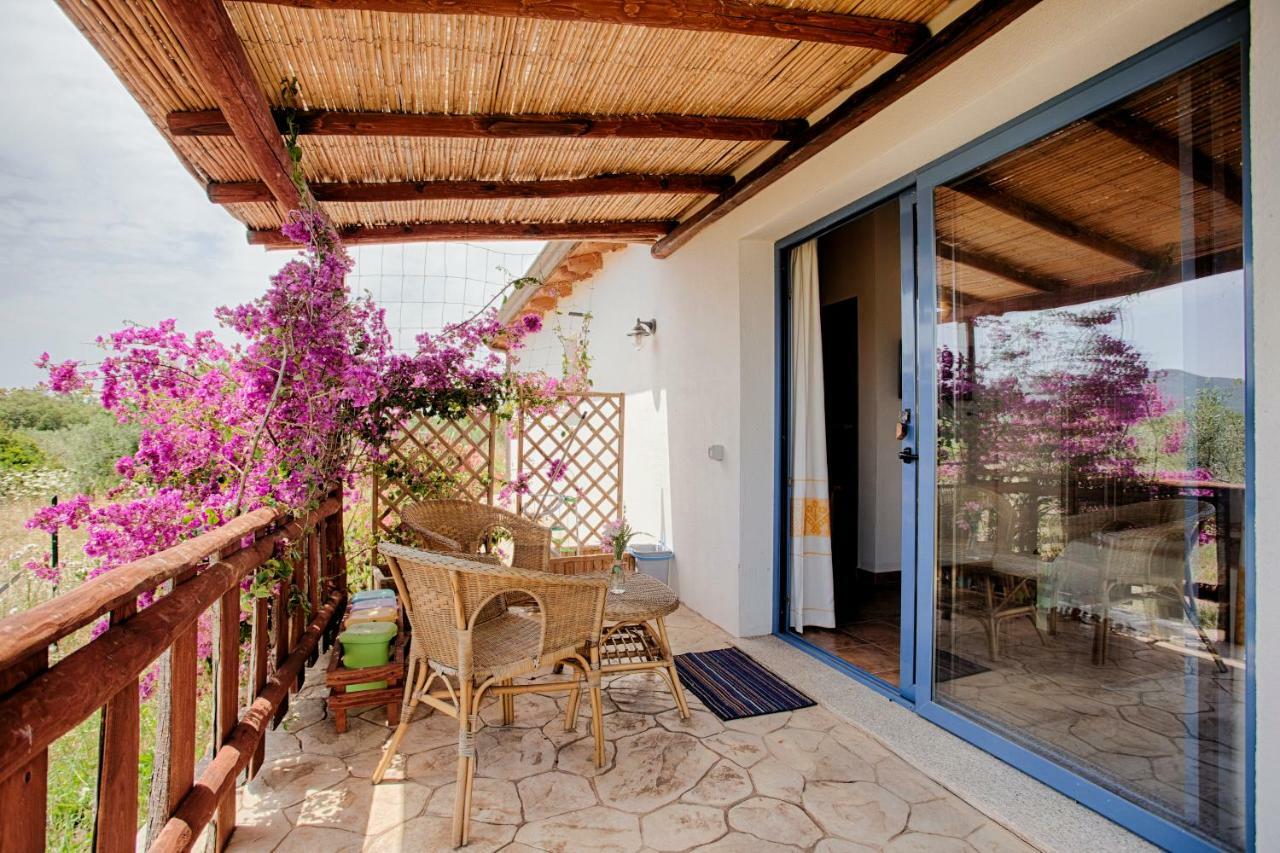 Farm stay Agriturismo Mieleamaro